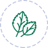 mgfoodsltd-icon